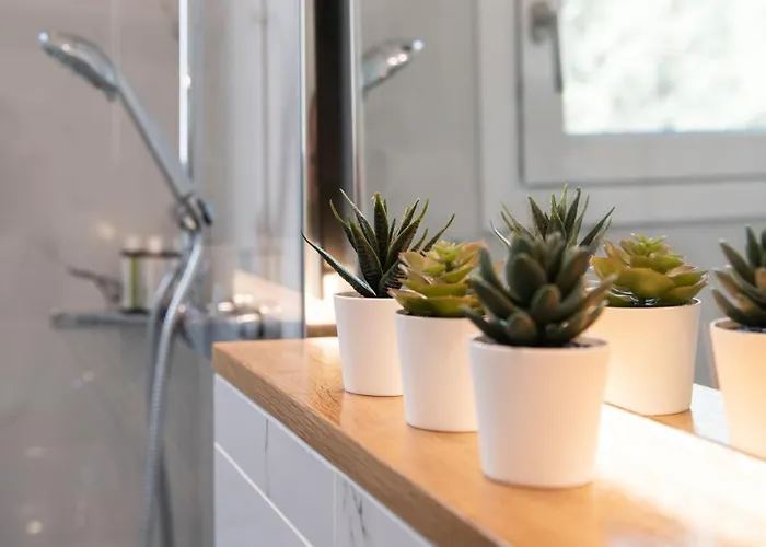 Apartment Summer Vibes Tsoukaladhes